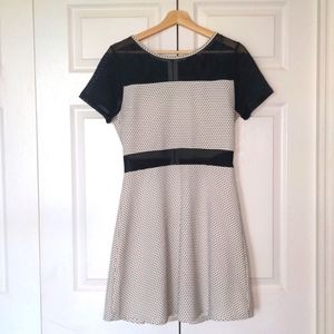 Black and White Mesh and Dotted A Line Dress